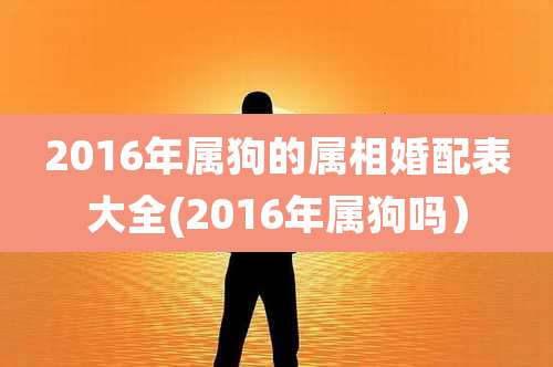 2016年属狗的属相婚配表大全(2016年属狗吗)