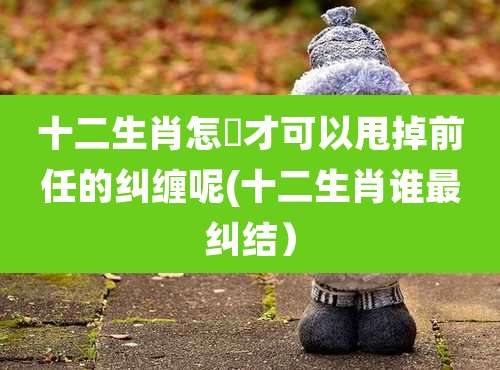 十二生肖怎麼才可以甩掉前任的纠缠呢(十二生肖谁最纠结)