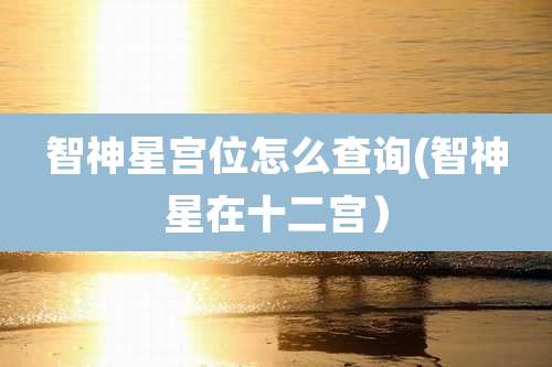 智神星宫位怎么查询(智神星在十二宫)