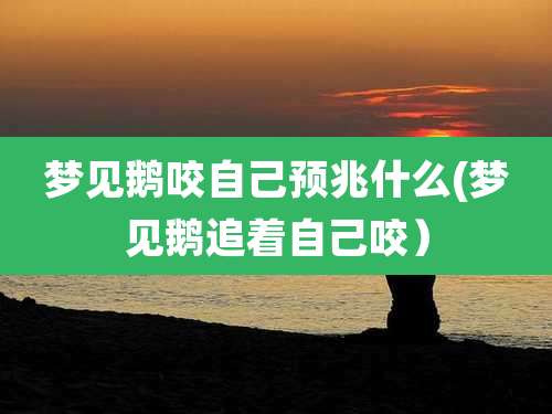 梦见鹅咬自己预兆什么(梦见鹅追着自己咬）