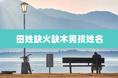 田姓缺火缺木男孩姓名
