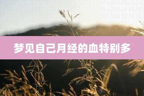 梦见自己月经的血特别多