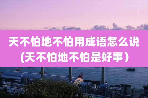天不怕地不怕用成语怎么说(天不怕地不怕是好事）