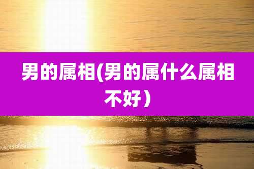 男的属相(男的属什么属相不好)