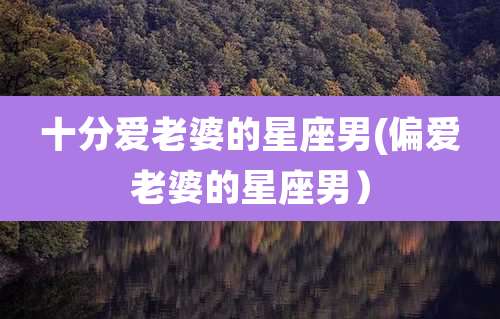 十分爱老婆的星座男(偏爱老婆的星座男）