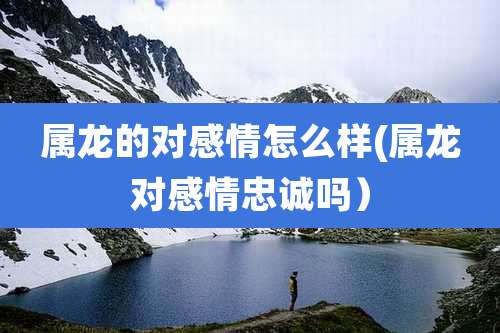 属龙的对感情怎么样(属龙对感情忠诚吗)