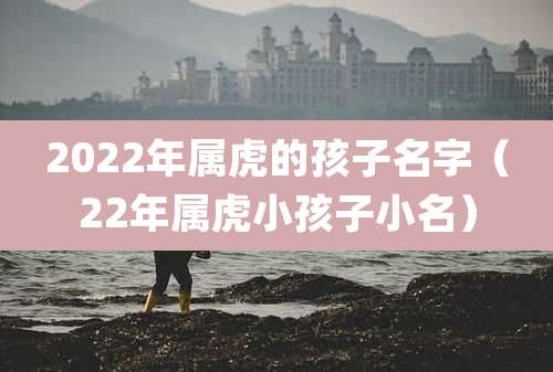 2022年属虎的孩子名字(22年属虎小孩子小名)