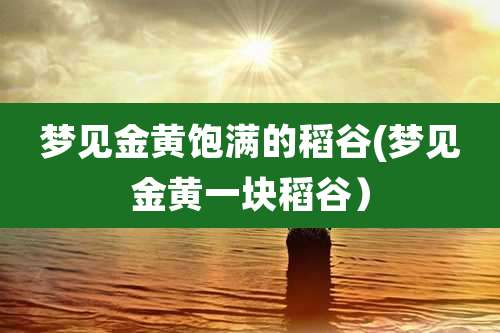 梦见金黄饱满的稻谷(梦见金黄一块稻谷)