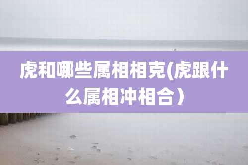 虎和哪些属相相克(虎跟什么属相冲相合)