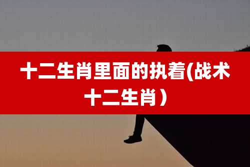 十二生肖里面的执着(战术十二生肖）