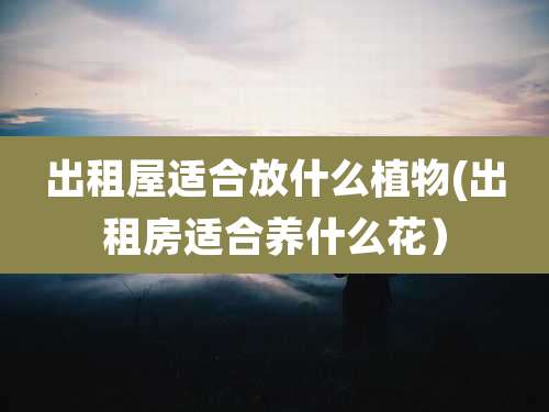 出租屋适合放什么植物(出租房适合养什么花）