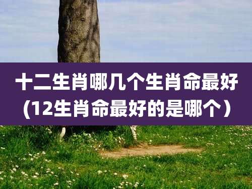 十二生肖哪几个生肖命最好(12生肖命最好的是哪个)