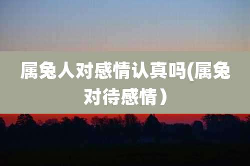 属兔人对感情认真吗(属兔对待感情）