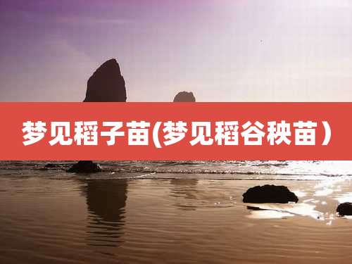 梦见稻子苗(梦见稻谷秧苗）