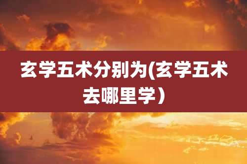 玄学五术分别为(玄学五术去哪里学)