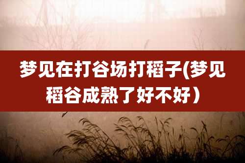 梦见在打谷场打稻子(梦见稻谷成熟了好不好)