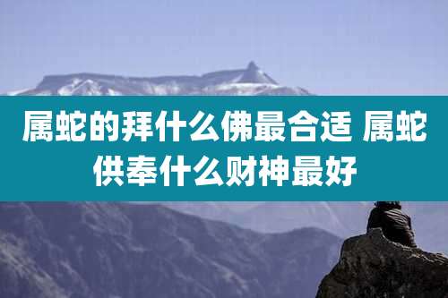 属蛇的拜什么佛最合适 属蛇供奉什么财神最好