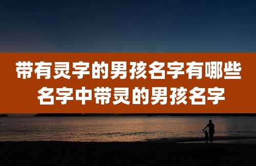 带有灵字的男孩名字有哪些 名字中带灵的男孩名字