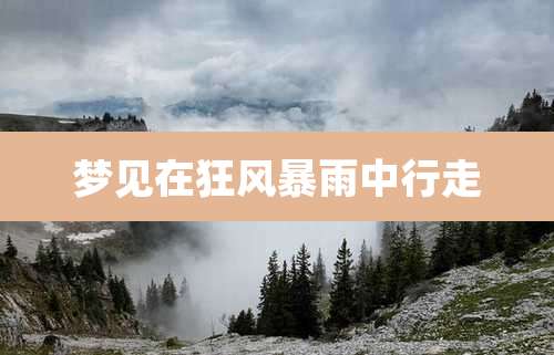 梦见在狂风暴雨中行走