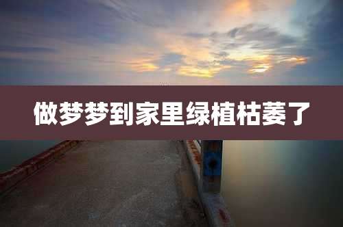 做梦梦到家里绿植枯萎了
