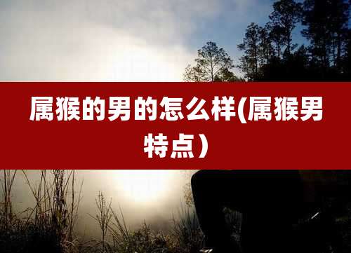 属猴的男的怎么样(属猴男特点）