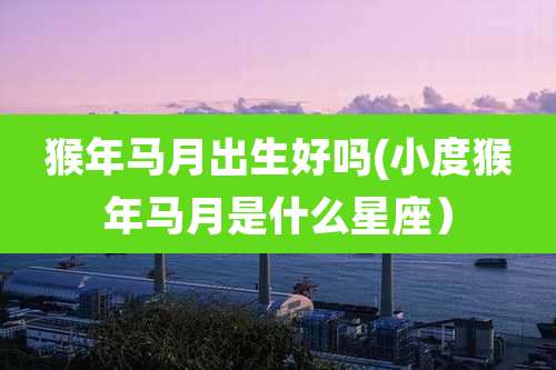 猴年马月出生好吗(小度猴年马月是什么星座）