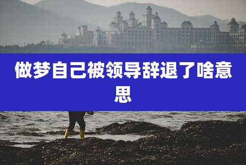 做梦自己被领导辞退了啥意思