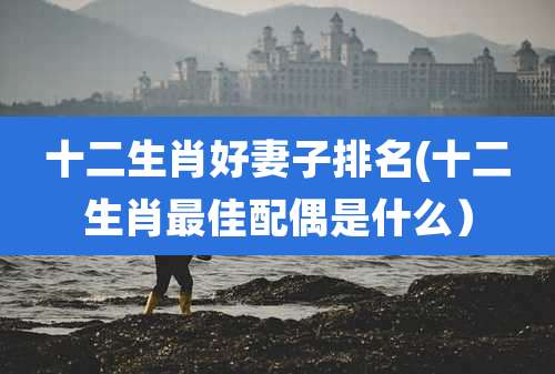 十二生肖好妻子排名(十二生肖最佳配偶是什么)