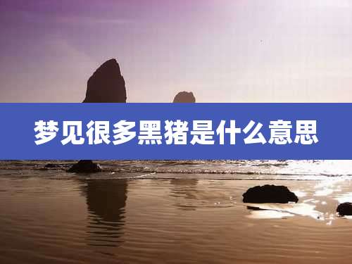 梦见很多黑猪是什么意思