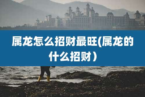 属龙怎么招财最旺(属龙的什么招财)