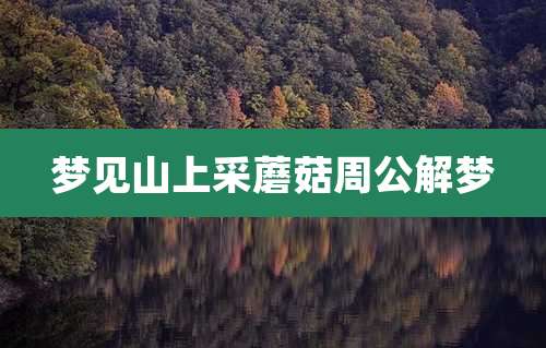 梦见山上采蘑菇周公解梦
