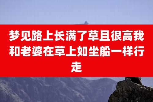 梦见路上长满了草且很高我和老婆在草上如坐船一样行走
