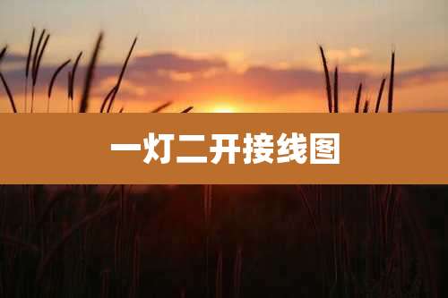 一灯二开接线图