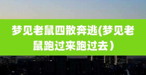 梦见老鼠四散奔逃(梦见老鼠跑过来跑过去）