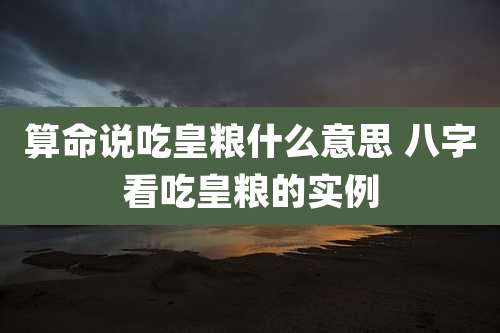算命说吃皇粮什么意思 八字看吃皇粮的实例