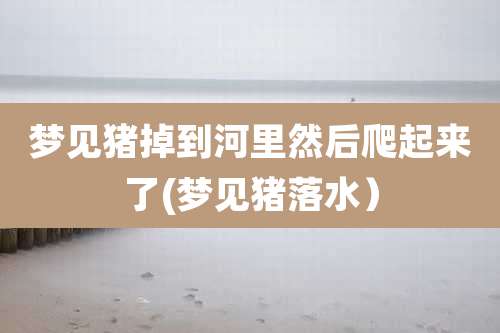 梦见猪掉到河里然后爬起来了(梦见猪落水)