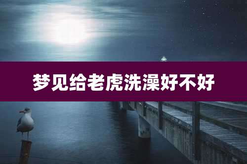 梦见给老虎洗澡好不好