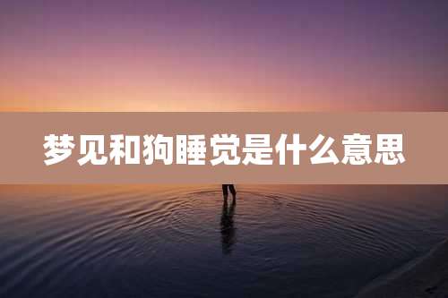 梦见和狗睡觉是什么意思