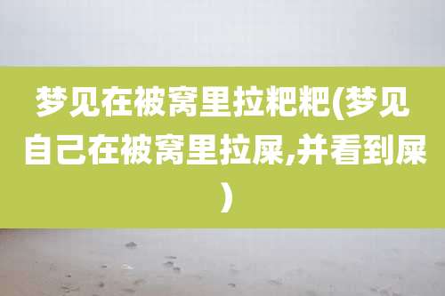 梦见在被窝里拉粑粑(梦见自己在被窝里拉屎,并看到屎)