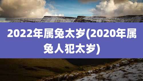 2022年属兔太岁(2020年属兔人犯太岁)