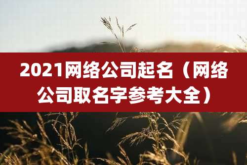 2021网络公司起名（网络公司取名字参考大全）