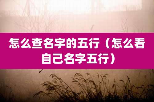 怎么查名字的五行(怎么看自己名字五行)