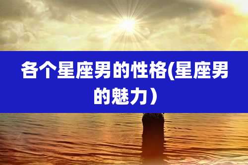 各个星座男的性格(星座男的魅力)