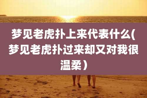 梦见老虎扑上来代表什么(梦见老虎扑过来却又对我很温柔）