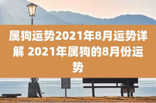 属狗运势2021年8月运势详解 2021年属狗的8月份运势