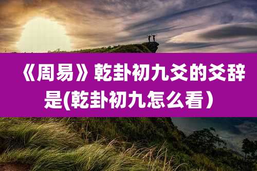 《周易》乾卦初九爻的爻辞是(乾卦初九怎么看)