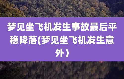 梦见坐飞机发生事故最后平稳降落(梦见坐飞机发生意外)