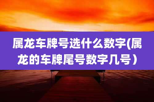 属龙车牌号选什么数字(属龙的车牌尾号数字几号)