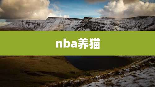 nba养猫