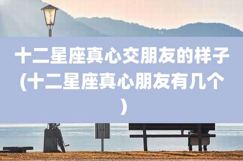 十二星座真心交朋友的样子(十二星座真心朋友有几个)